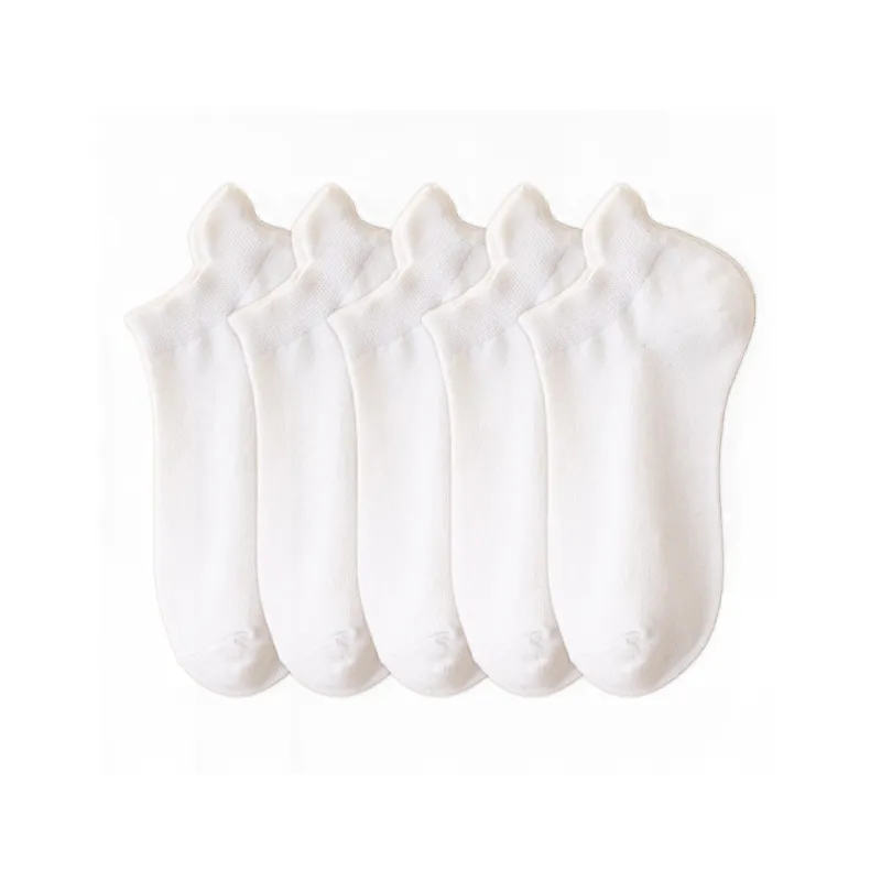 BEAR UNION Ankle Socks Women's Combo Set-10