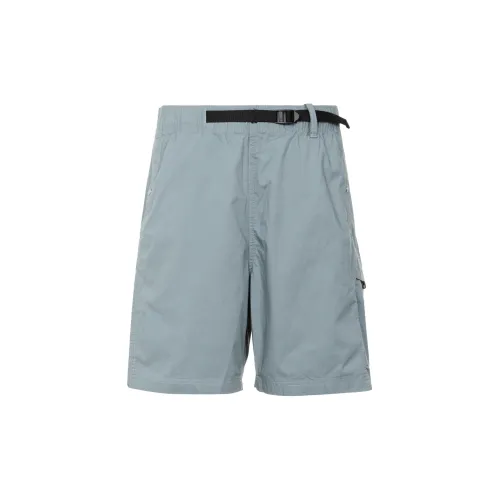 THE NORTH FACE Casual Shorts Men Blue