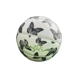 [Thickened]Black Butterfly "Comes with Inflation Needle+Ball Bag+Pump+Ball Bag"