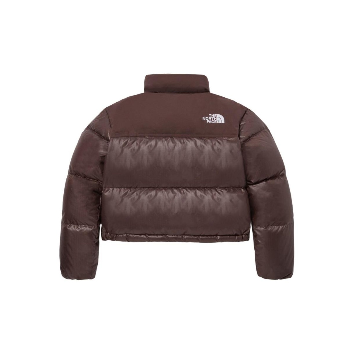 コート [The North Face] W'S NUPTSE BELTED DOWN COAT RDS - BROWN Genuine The North Face Womens NUPTSE BELTED DOWN COAT (RDS