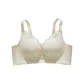 Champagne White