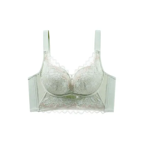 2323 Women's Bras