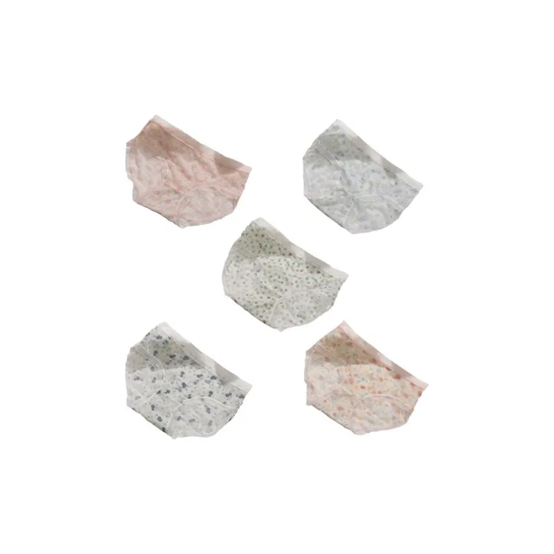 Xiangdada Underpants Women's 5 Pack-2