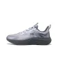 Gray/Smoke Gray
