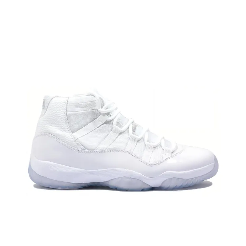 Jordan 11 Retro Silver Anniversary 2010-1