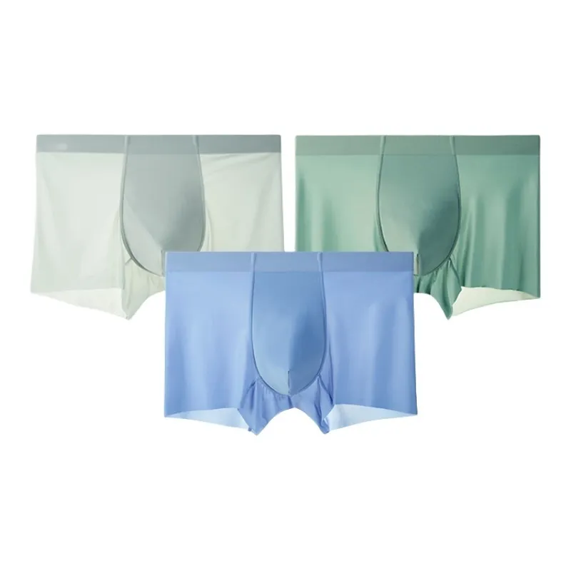 Icolor Men Underpants-4