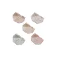 5 Pack (Peach, Red Fruit, Floral, Maple Leaf, Black Fruit)