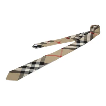 Burberry Ties Men