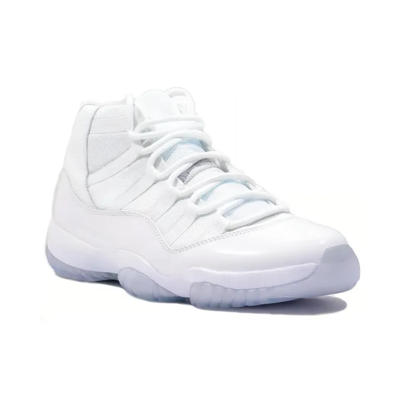Jordan 11 Retro Silver Anniversary 2010-2
