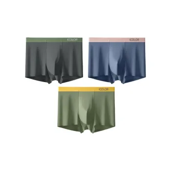 Icolor Men Underpants
