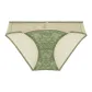 1 Pack (Laurel Green)