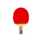 Double Fish 9A+New Nine Stars Single Racket[Shakehand Grip 1 Pack]for Loop and Attack