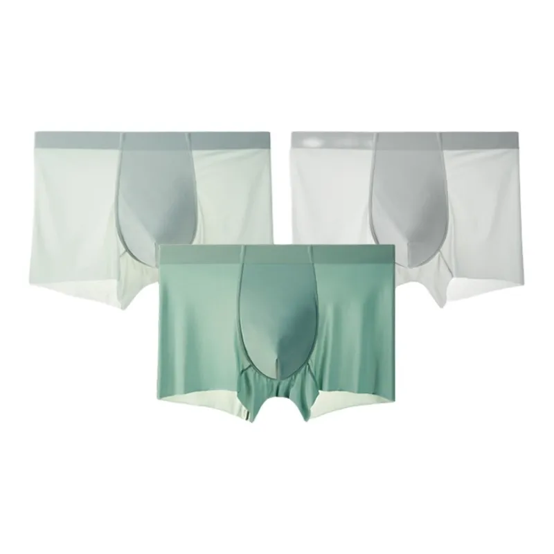 Icolor Men Underpants-22