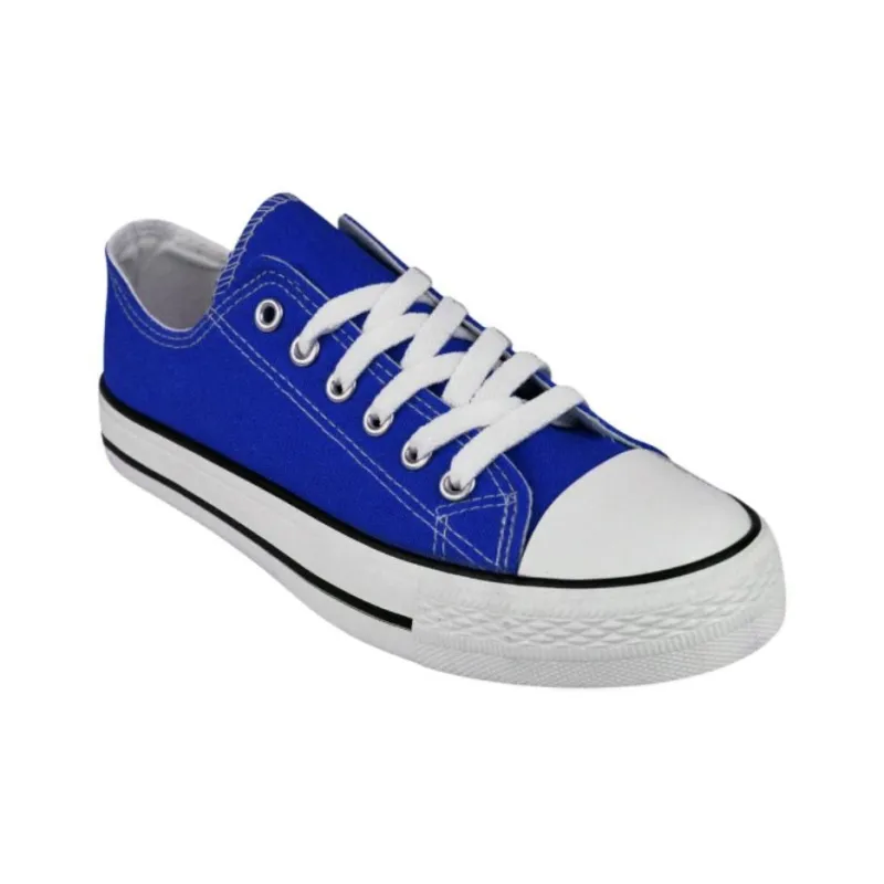 Converse Chuck Taylor Spec Ox Victoria Blue-3