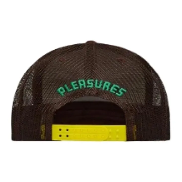 PLEASURES Sonic Youth Trucker-3