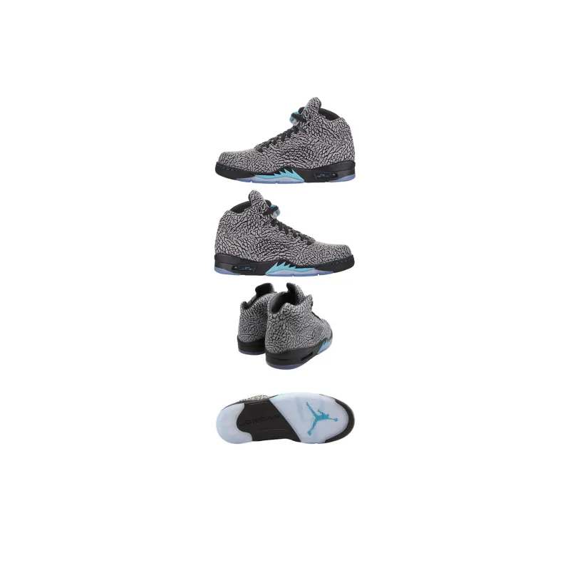 JORDAN 5 Retro 3Lab5-4