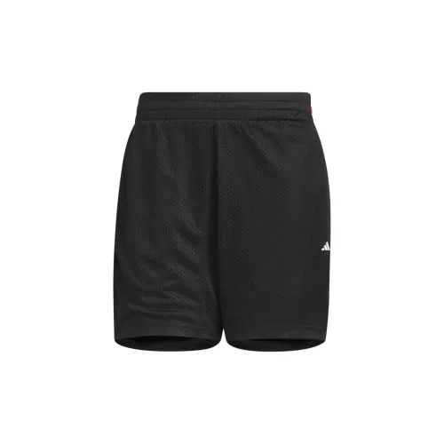 adidas Men Basketball shorts