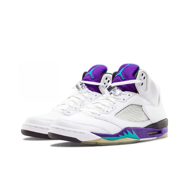JORDAN 5 Retro Grape 2006-2