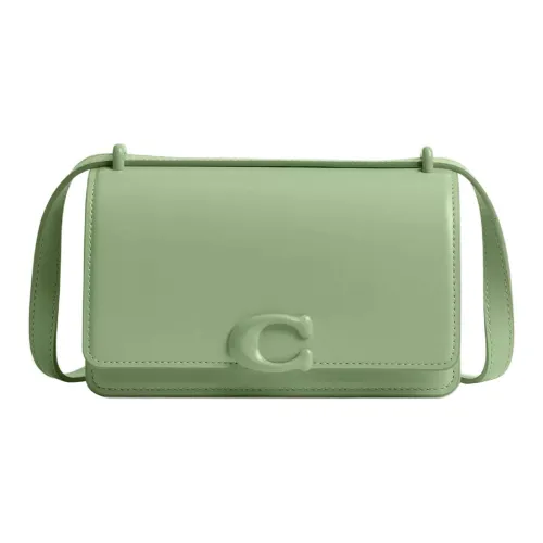 COACH Bandit Calfskin Shoulder Bag, Crossbody Bag Trumpets Women's Silver & Light Pistachio