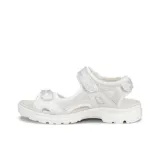 Silver White