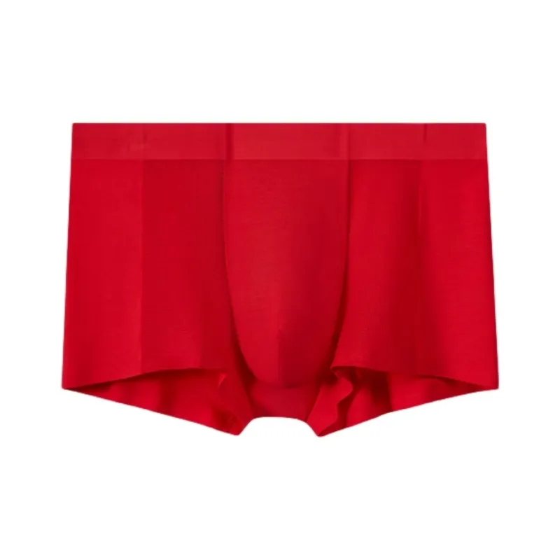 Icolor Men Underpants-4