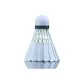 E10[Professional Edition]Goose Feather 12 Pack → Court Stable Training Shuttlecock