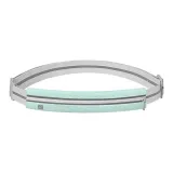 Mint Green[Single Compartment Version]