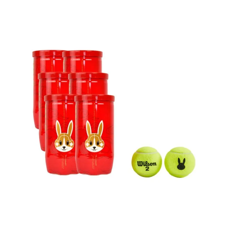 Wilson TOUR RABBIT 2 BALL ALL COURT SMU Tennis Balls Blend Wool Match Ball Competition-2