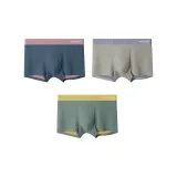 Sunrise Pink Blue/Cloud Sea Gray Blue/Start of Autumn Yellow Green