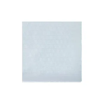 FENDI Shawls Women's