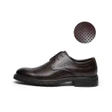 Brown 336V3102 L