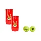 Year of The Rabbit Chinese Zodiac Tennis 2 Tubes/4 Balls WR82126