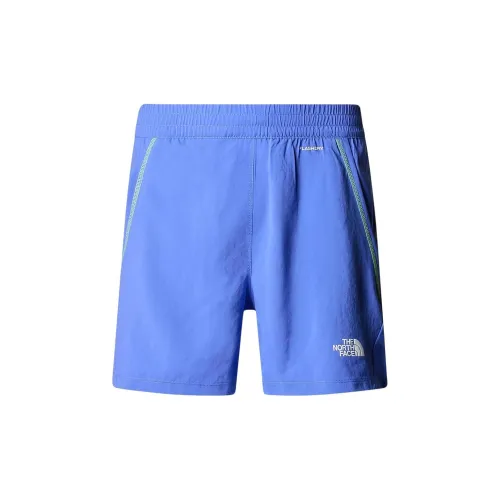 THE NORTH FACE Sports Shorts Men Blue