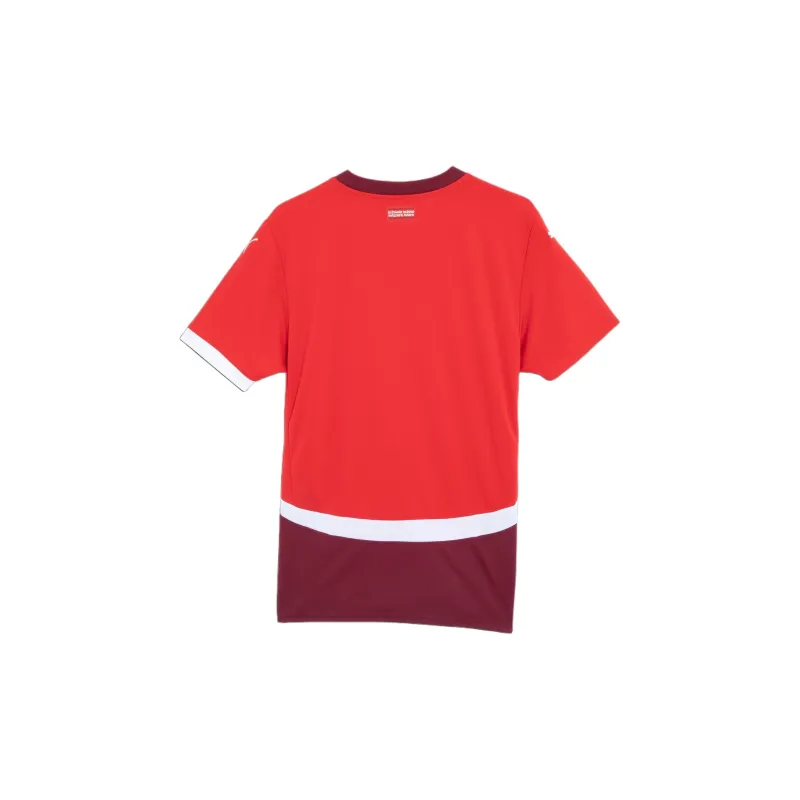 PUMA Soccer Jerseys Fan Edition Men's Red-1