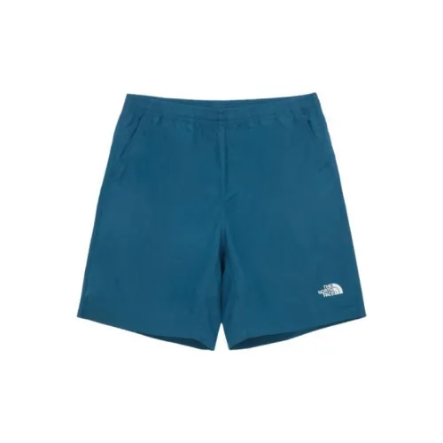 THE NORTH FACE Apparel Collection Casual Shorts Men Lyon Blue