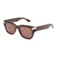 Tortoiseshell