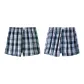 Light Green Plaid+Gray Blue Plaid