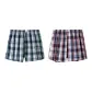 Light Green Plaid+Gray Red Plaid