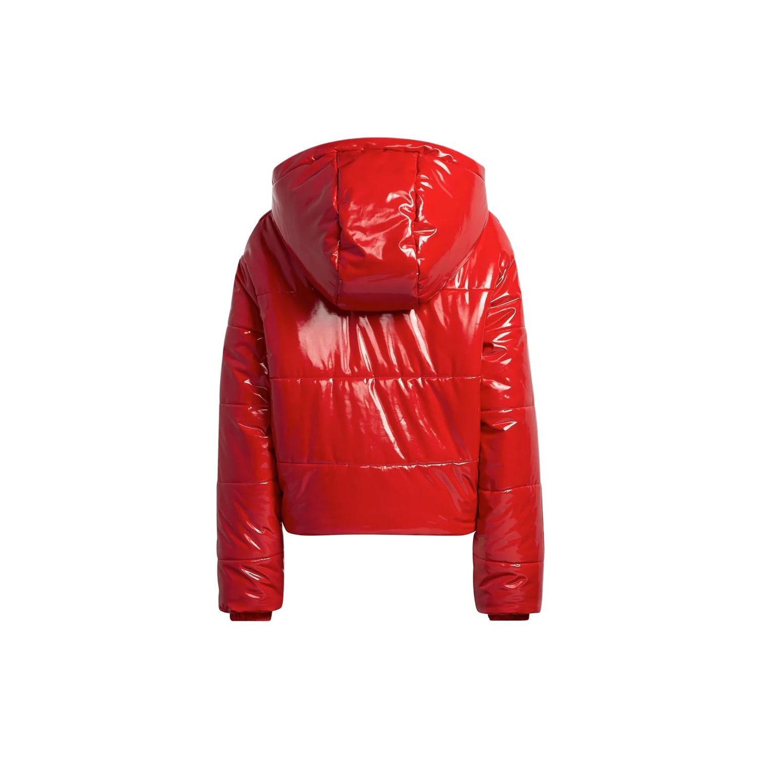 Adidas Ivy Park Faux Latex Crop Puffer Jacket All Gender POIZON