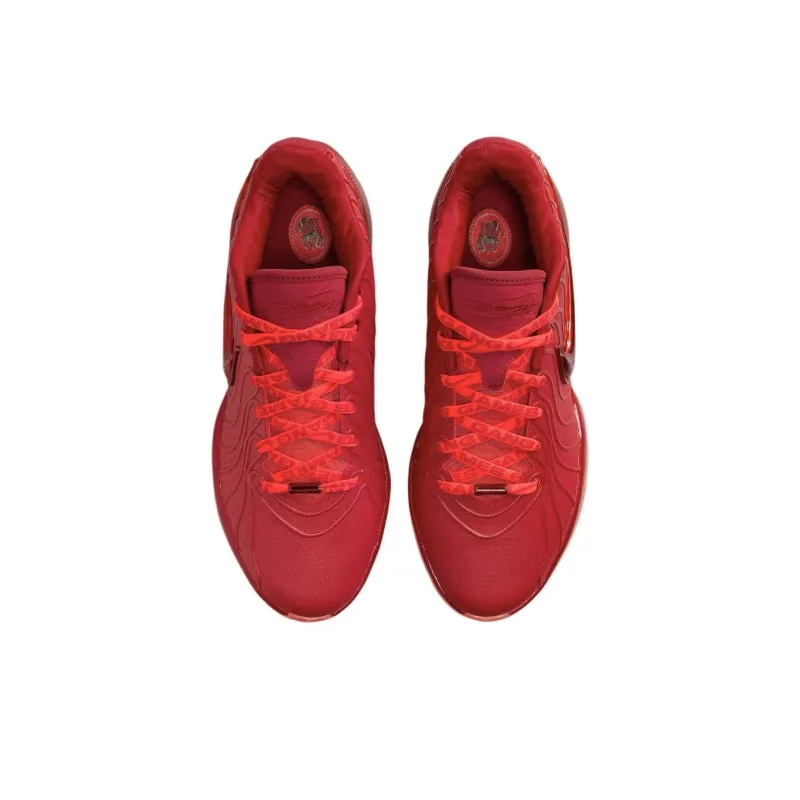 Nike LeBron 21 James Gang-3