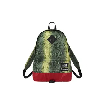 The North Face X Supreme SS18 Backpacks Green