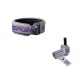 Gray Purple Belt+Wrist Brace