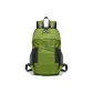 Mini Grass Green