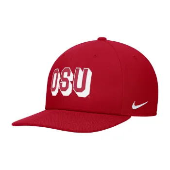 Nike Ohio State Nike College Snapback Hat
