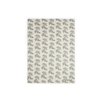 LOEWE Cashmere Shawls Unisex Beige