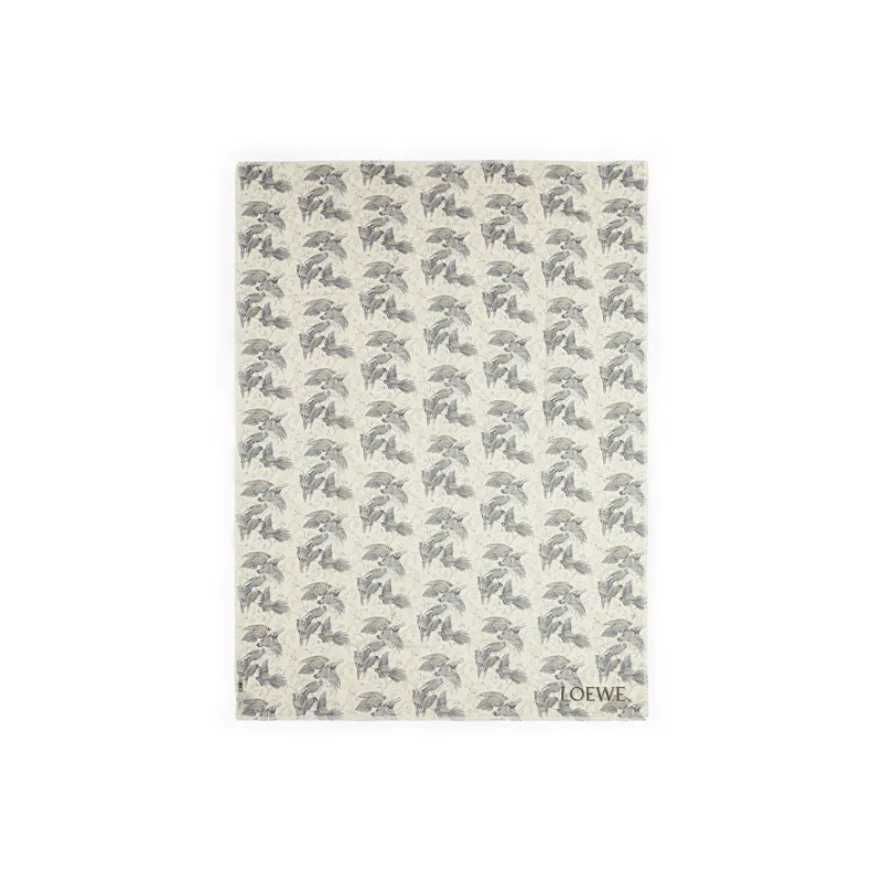 LOEWE Cashmere Shawls Unisex Beige-0