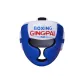 Head Guard White Blue