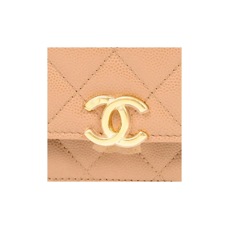 CHANEL WOC Wallets-4