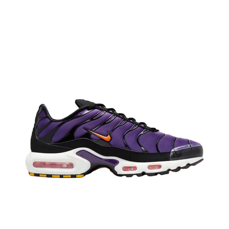 Nike Air Max Plus OG Voltage Purple 2024-1