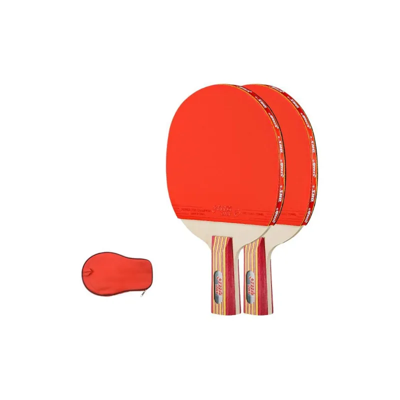 DHS Ping Pong Paddles-1